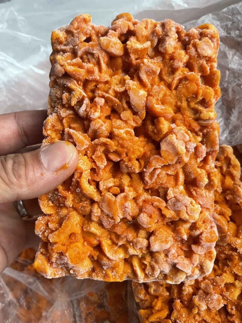 马胆海胆