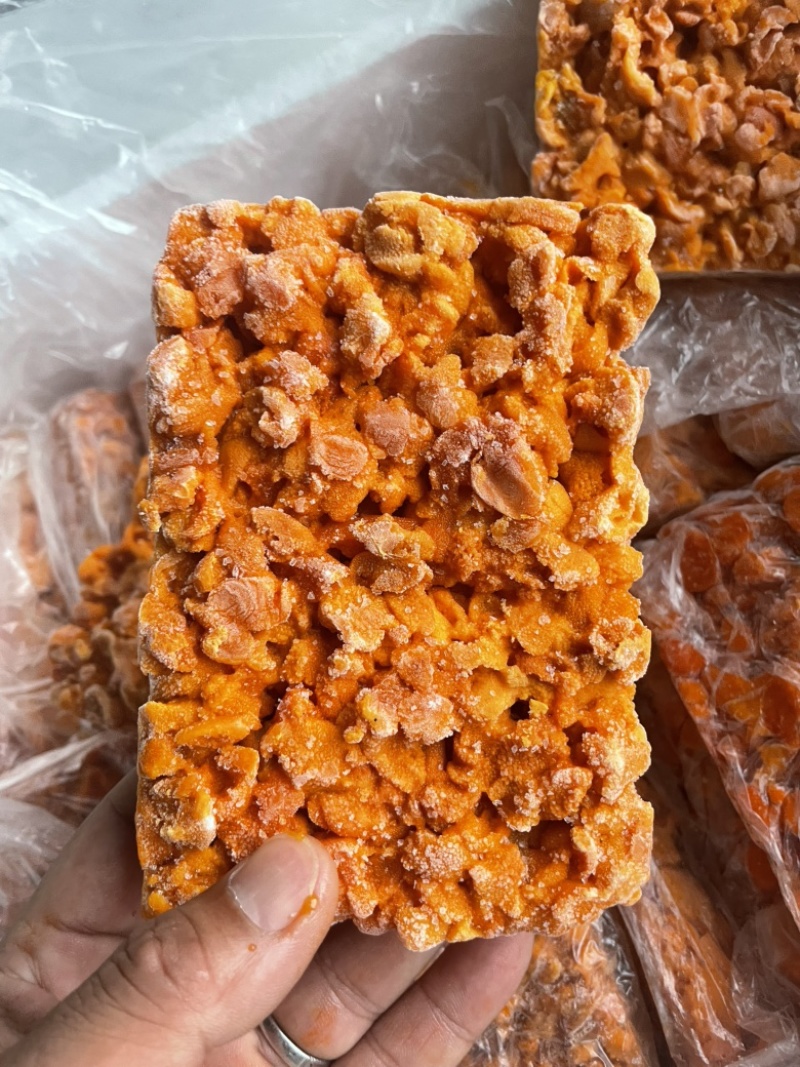 马胆海胆