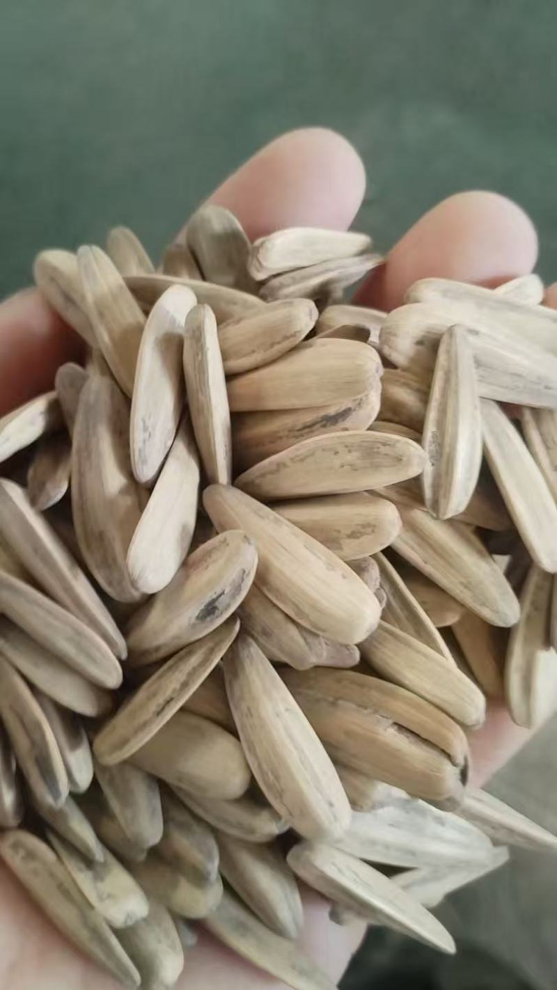 五香脱皮多味瓜子，电商通用货可聊