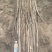 白玉山药