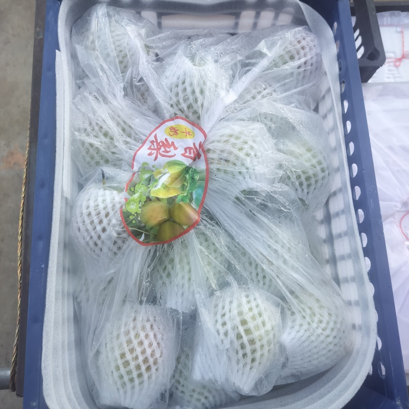 香梨。