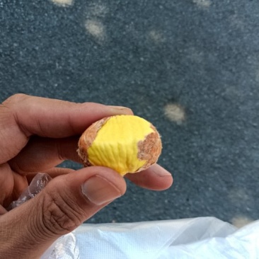 板栗甜糯黄，适用加工厂，炒货店，商超市对板栗要求较高商家