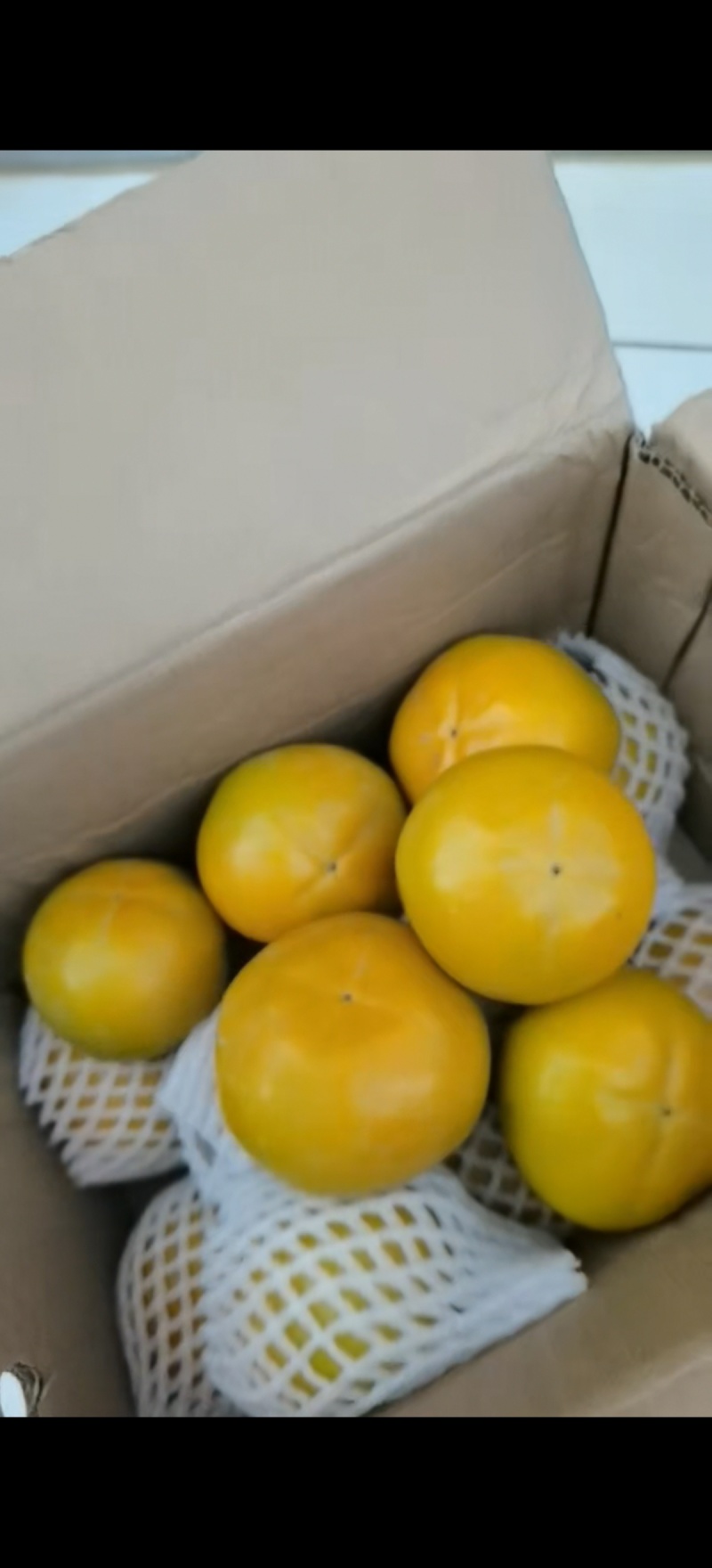陕西脆柿子大量上市