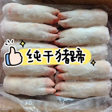 纯干猪蹄，带全筋，无淤血无破损两种规格全国发货一件起发