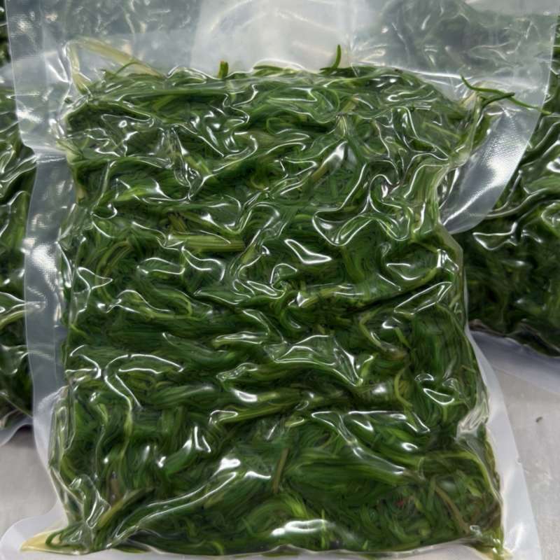 速冻黄须菜，碱蓬菜，海蓬菜