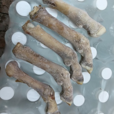 羊蹄子