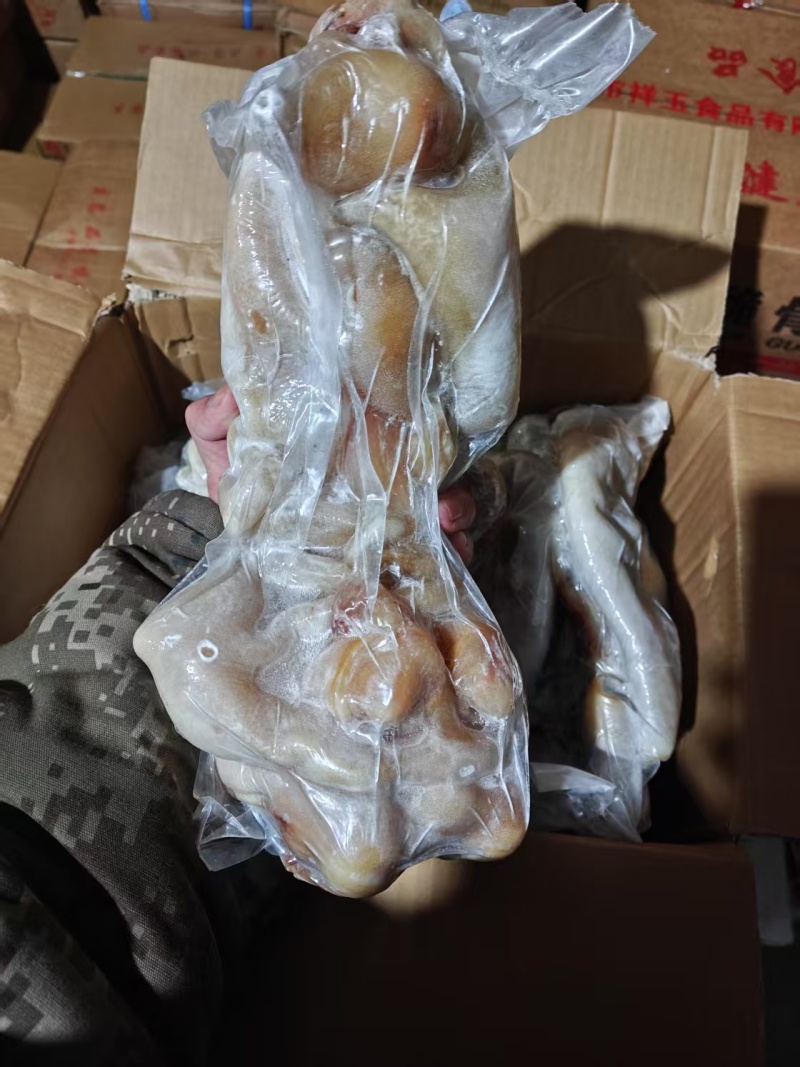 【熟牛蹄筋】熟牛蹄，卤煮烧都可以