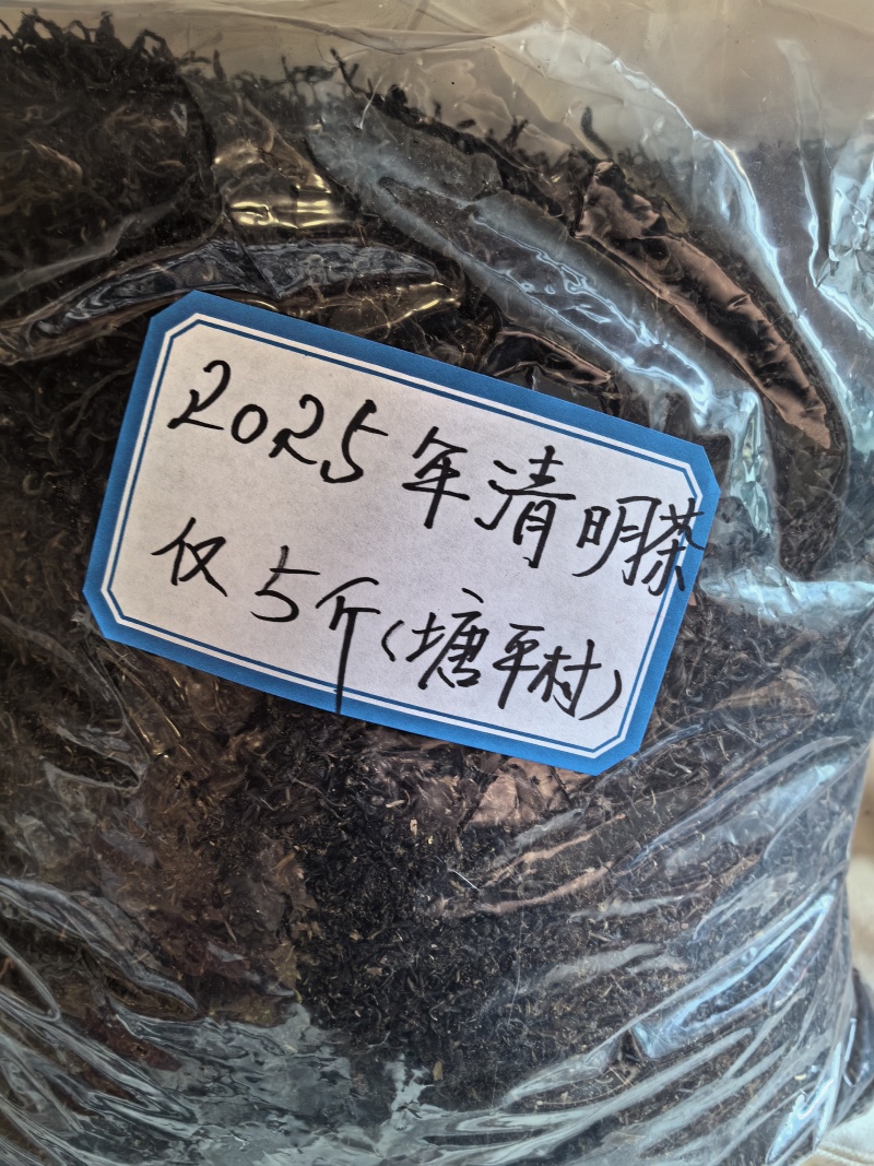 原种老六堡