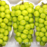 产地直发阳光玫瑰葡萄价格优惠欢迎商超供应链老板咨询