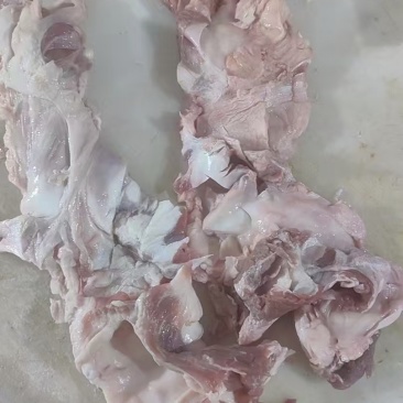 加肉棒骨筋
