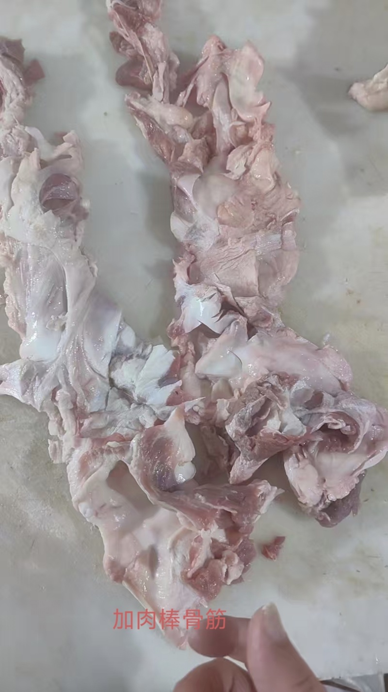加肉棒骨筋