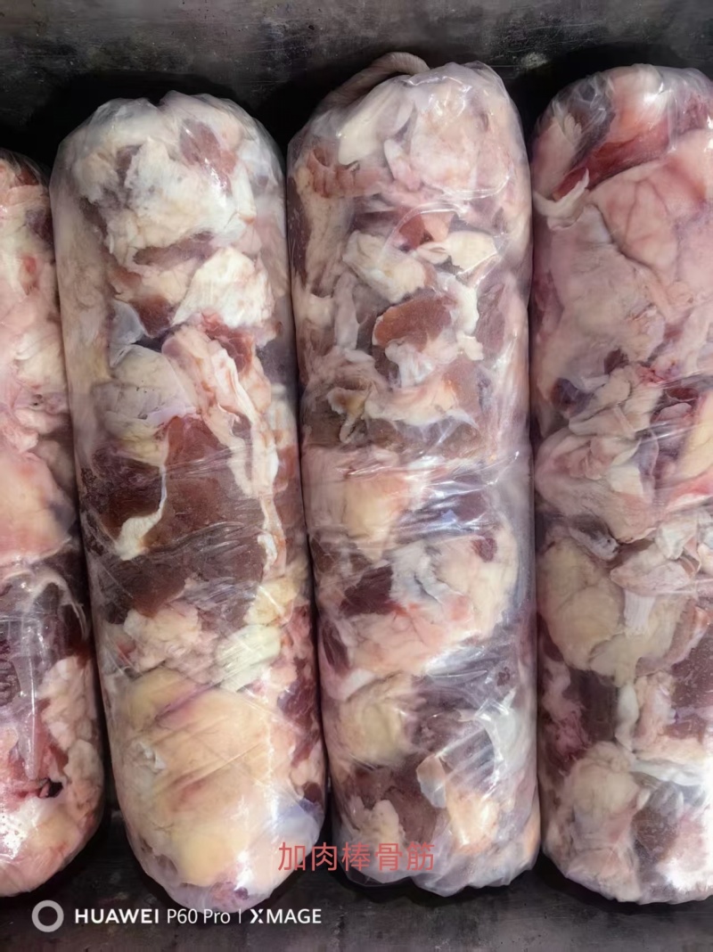 加肉棒骨筋
