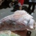 带皮羊头带皮羊头，麻辣羊头，销量大，品质嘎嘎滴