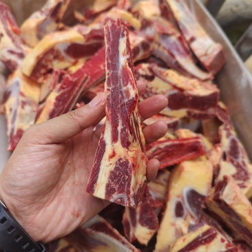 黄标牛小排大量现货量大从优