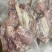 低价批发熟牛头肉，干净立正，没有多余边角料真空包装