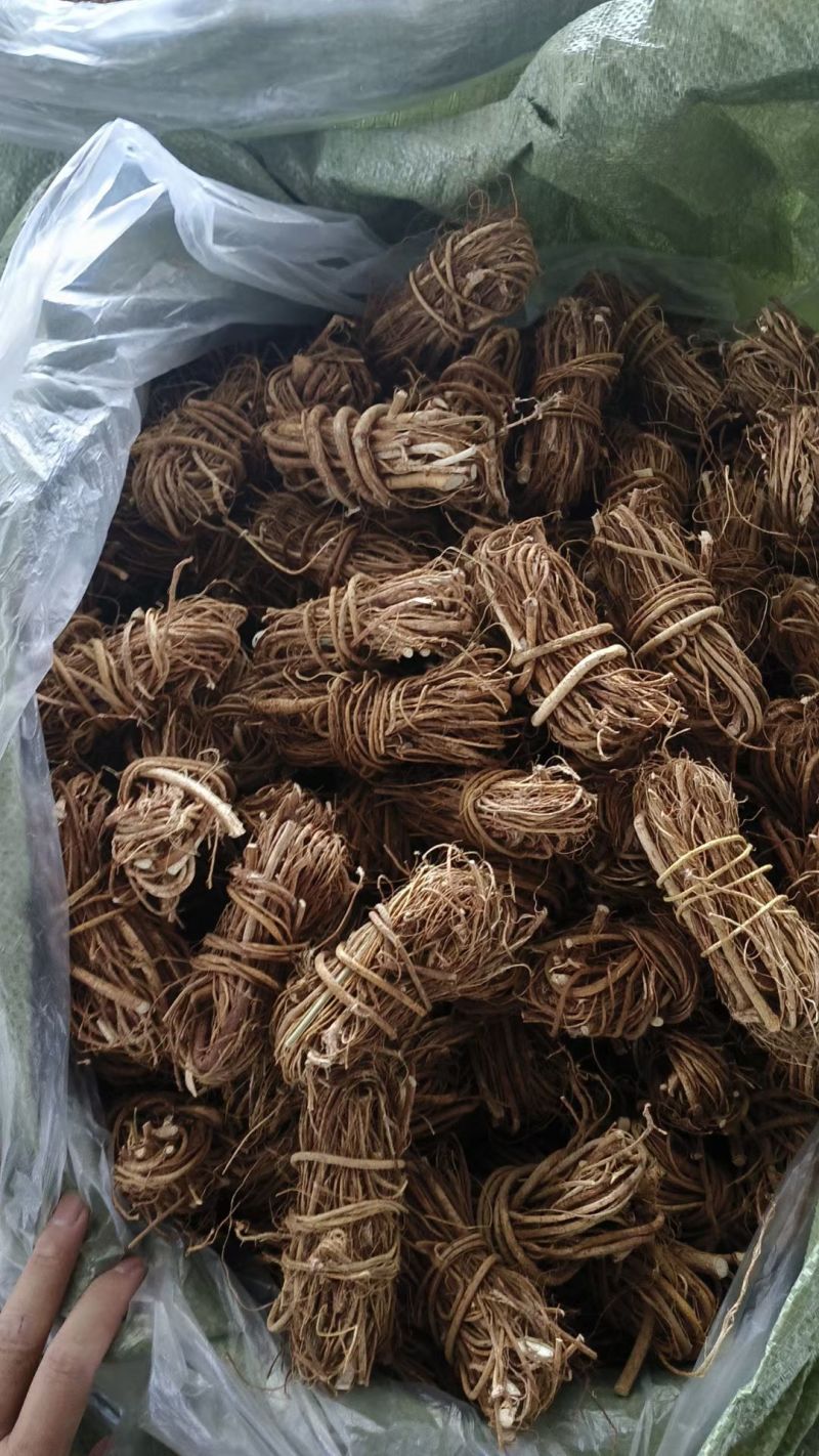 产地直发精品五指毛桃长期供应新鲜甜美健康享受