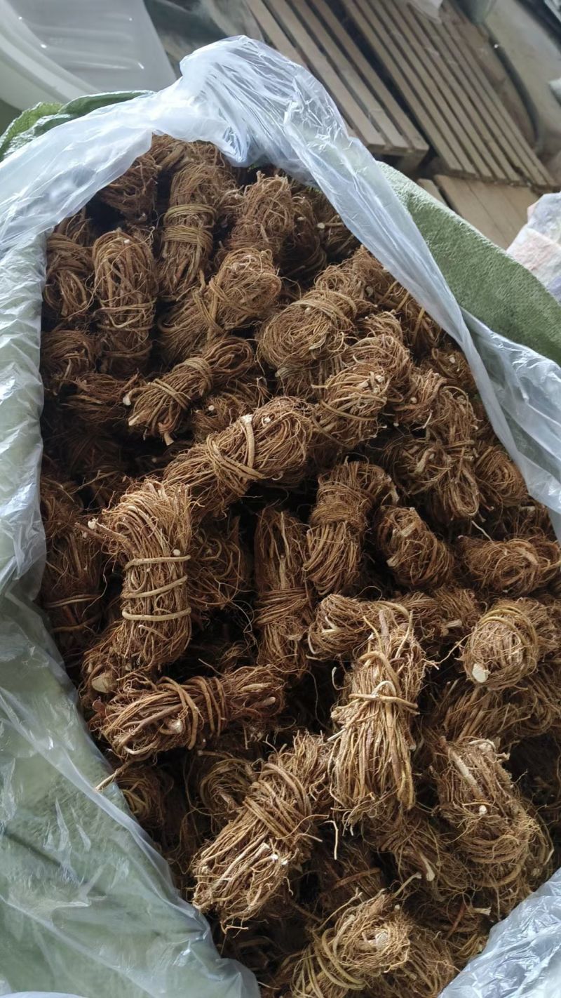 产地直发精品五指毛桃长期供应新鲜甜美健康享受