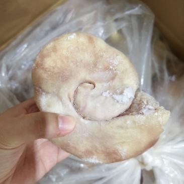 半成品牛子宫