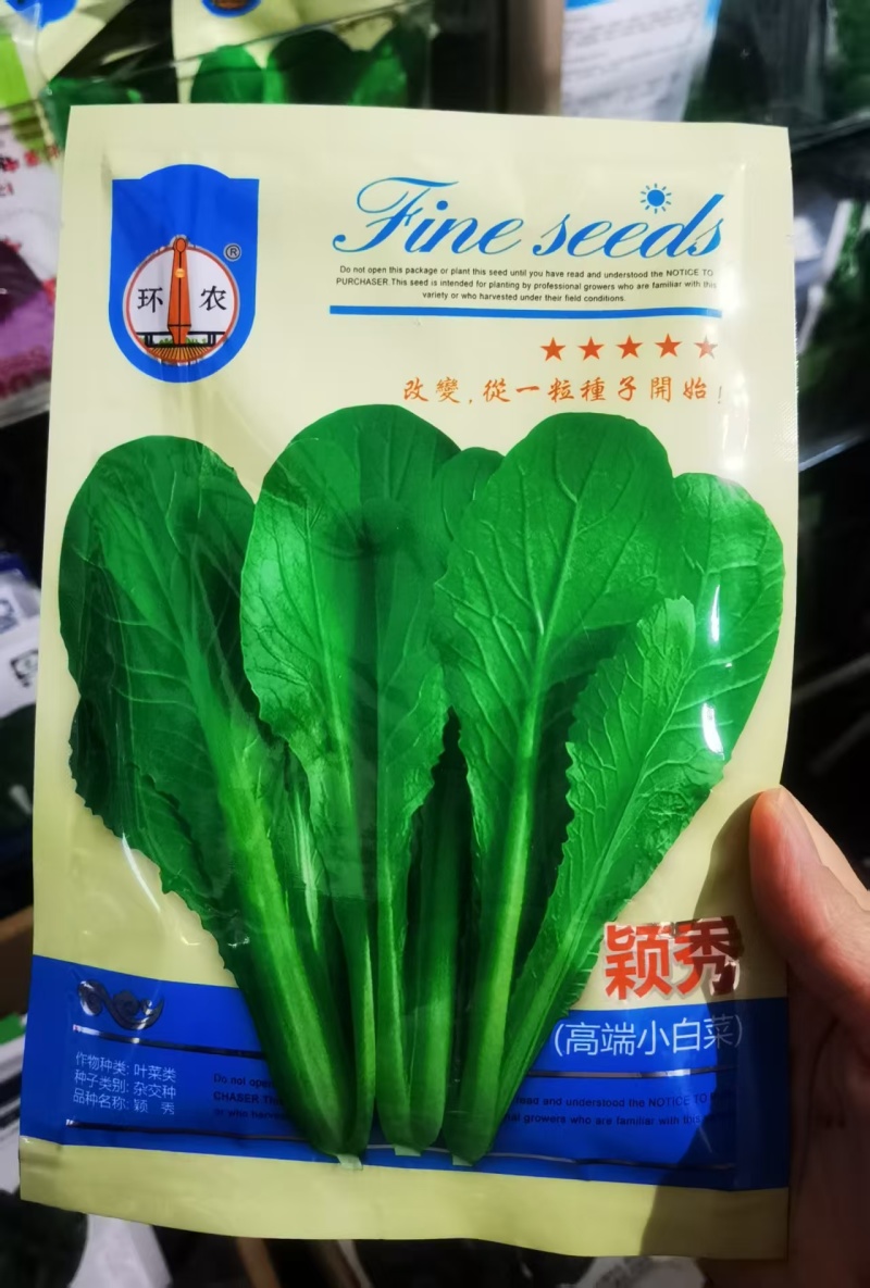 绿浪青梗小白菜种子杂交纤维少耐热耐湿青梗青菜农户大田用种