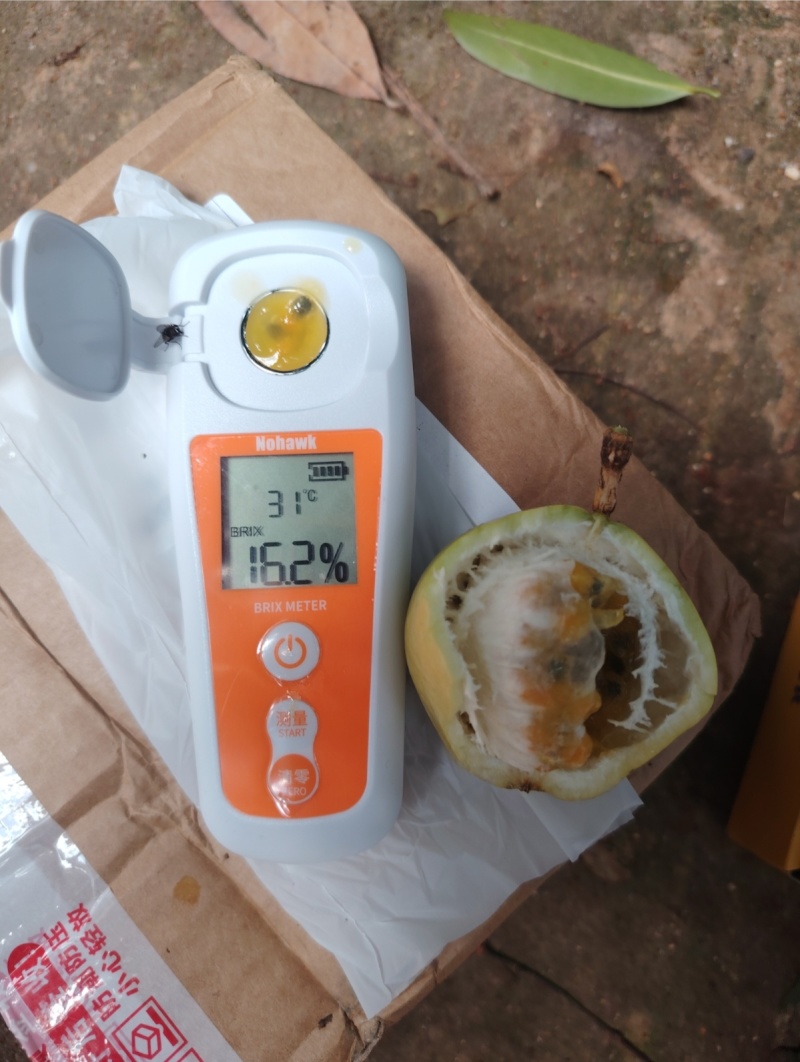 钦密9号百香果，适合中秋礼