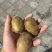 猕猴桃🥝绿心和黄心