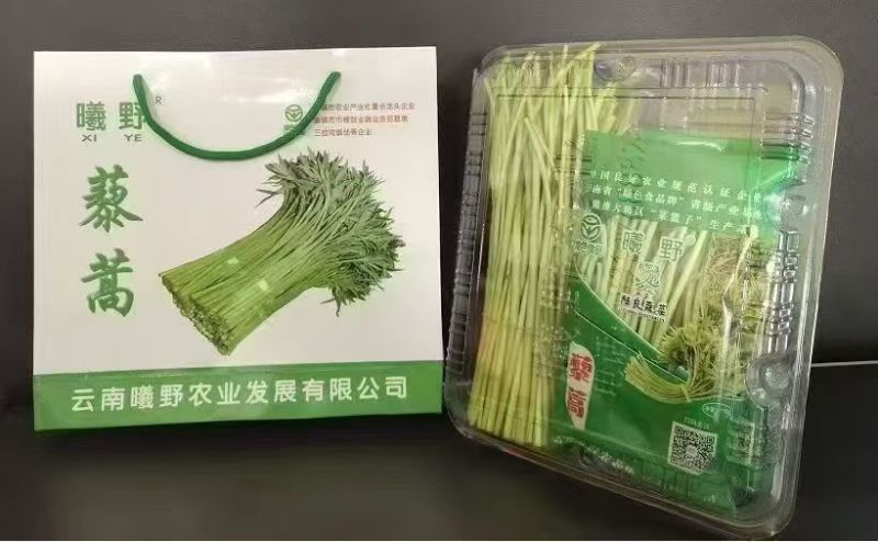 精品藜蒿