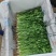 香菜\铁杆青香菜\山东潍坊寿光市基地种植\对接全国采购商
