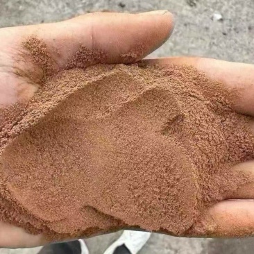 纯桂皮粉