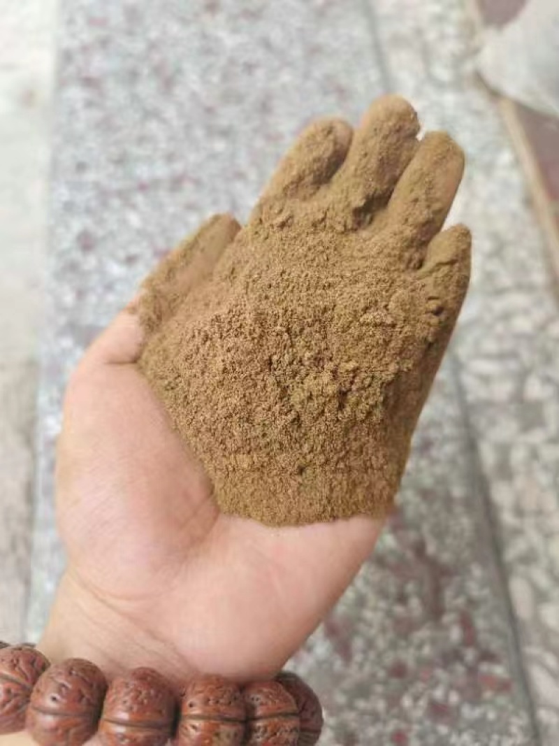 纯桂皮粉