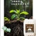 悬浮液体功能肥，品类齐全，进口助剂，有机质蛋白维生素基底