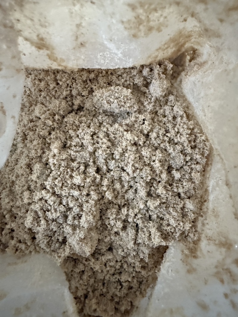 发酵熟玉米饲料