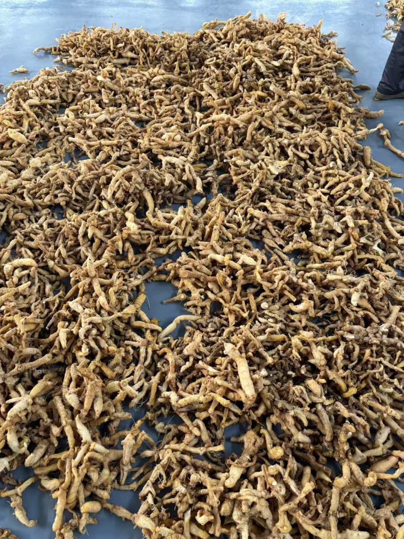 黄精干货货源充足质量保证量大从优诚信经营欢迎咨询