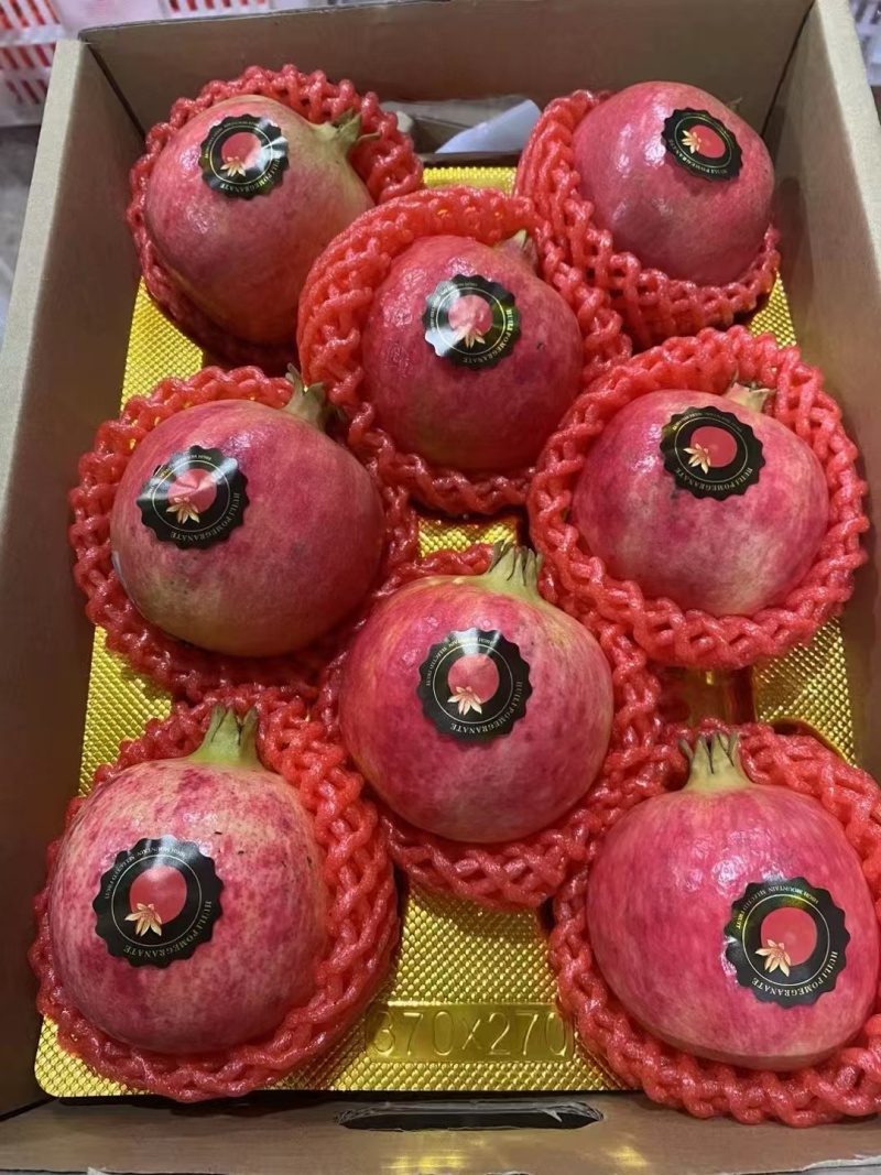 四川会理石榴