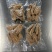 精品天麻质量保证对接全国质量保证一手货源欢迎咨询