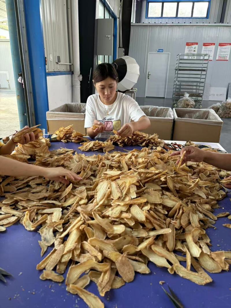 精品天麻质量保证对接全国质量保证一手货源欢迎咨询