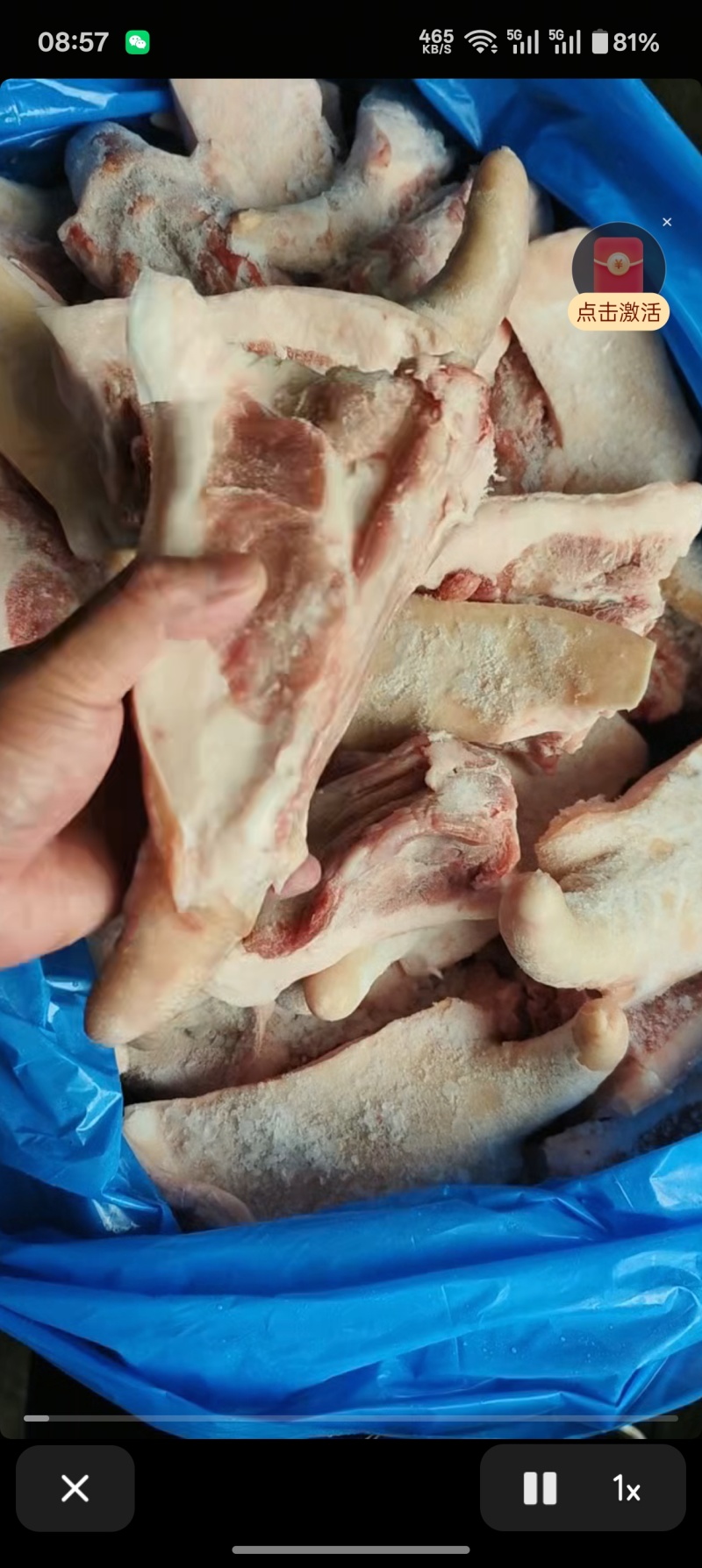 3237带根短尾实拍颜色新鲜，瘦肉率高，价格便宜