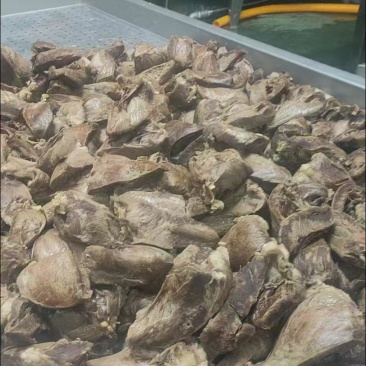 熟牛心