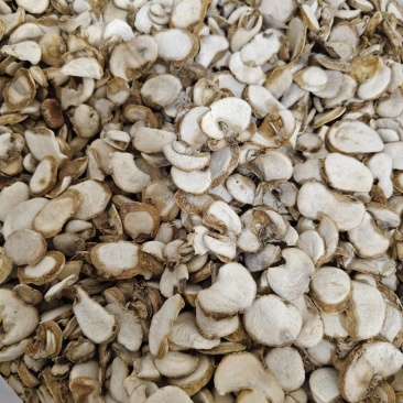 浙贝母各种规格贝母片齐全批发零售量大从优