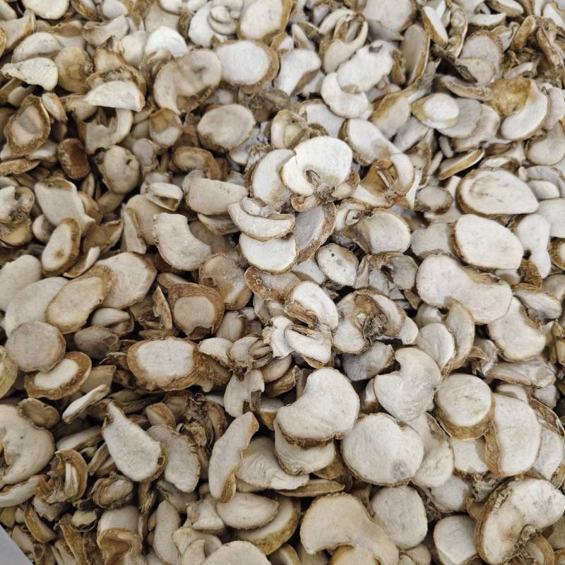 浙贝母各种规格贝母片齐全批发零售量大从优