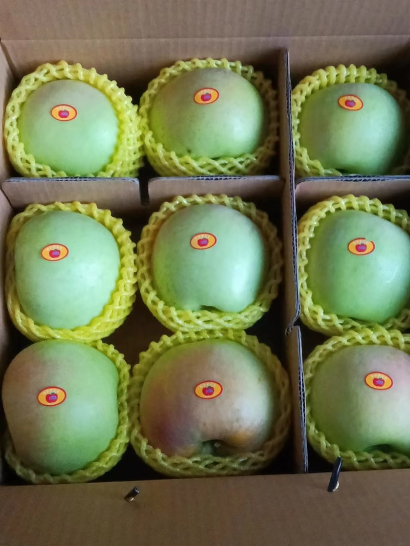 精品青森明月苹果