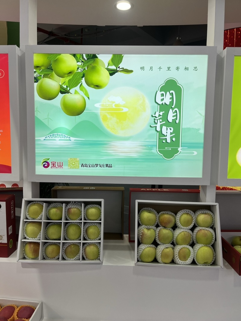 精品青森明月苹果