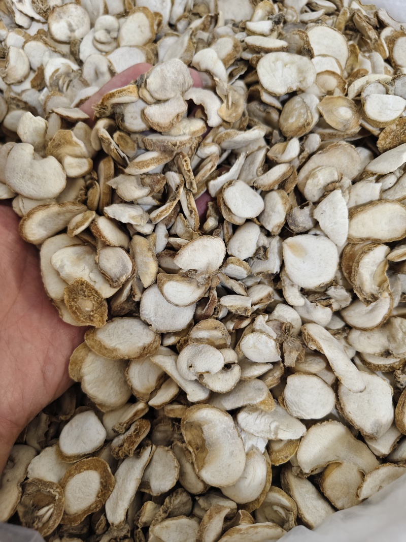 浙贝母各种规格贝母片齐全批发零售量大从优