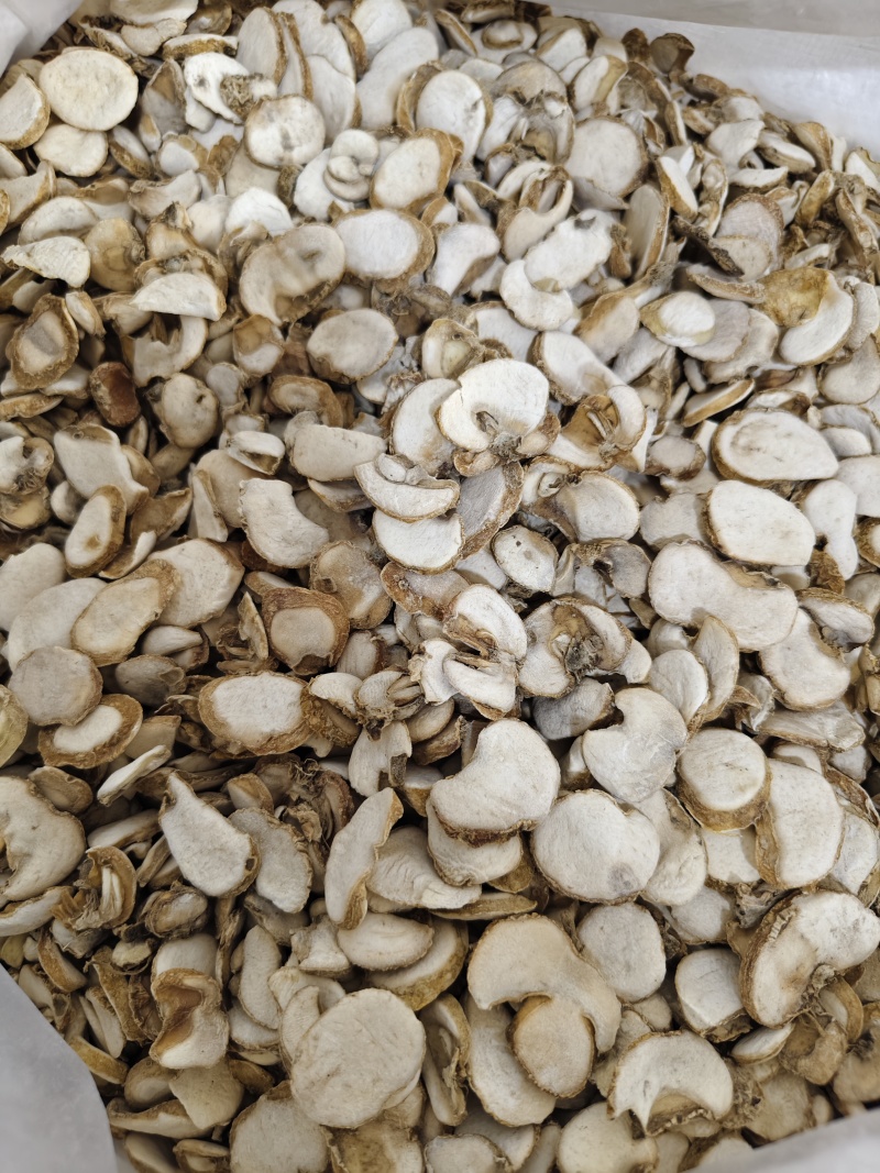 浙贝母各种规格贝母片齐全批发零售量大从优