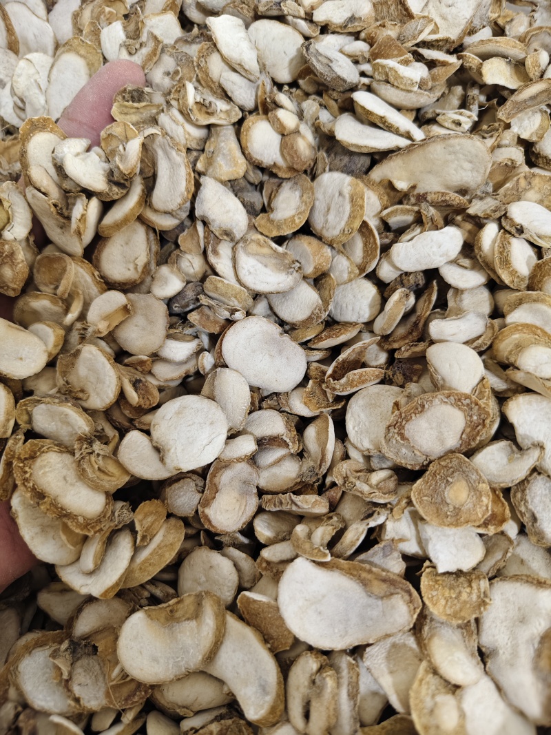 浙贝母各种规格贝母片齐全批发零售量大从优