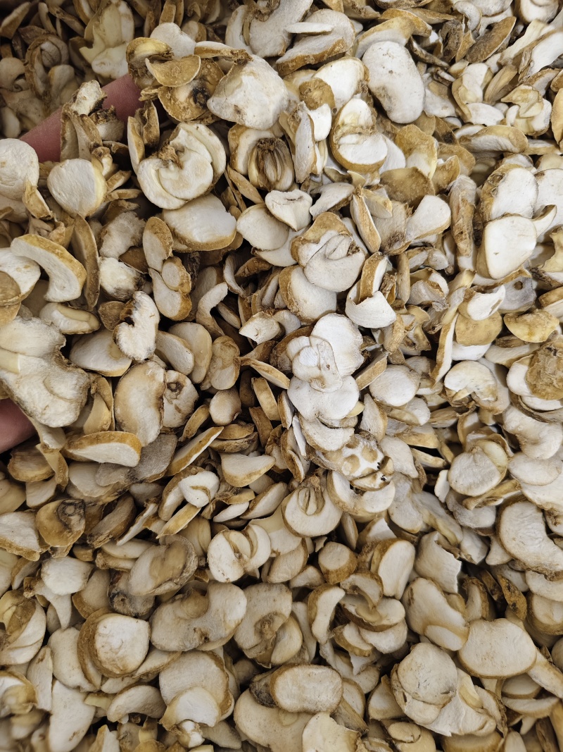 浙贝母各种规格贝母片齐全批发零售量大从优