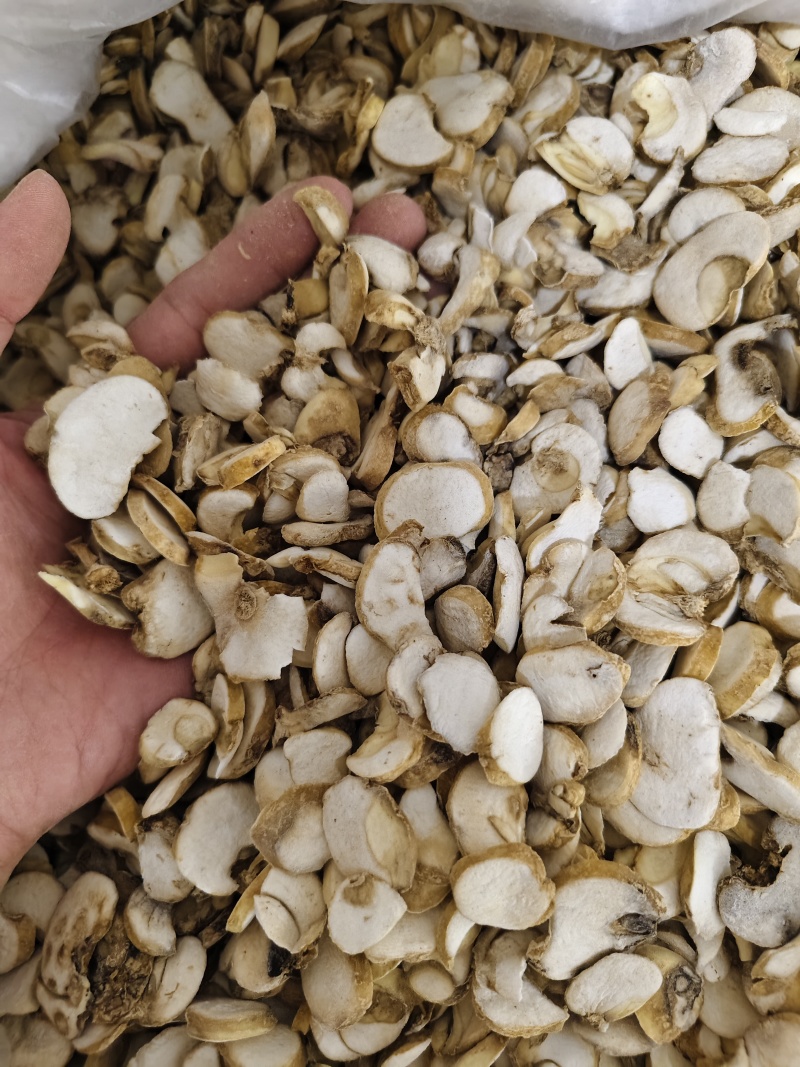浙贝母各种规格贝母片齐全批发零售量大从优