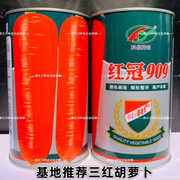 红冠909三红胡萝卜种子中早熟长锥型基地推荐胡萝卜种籽