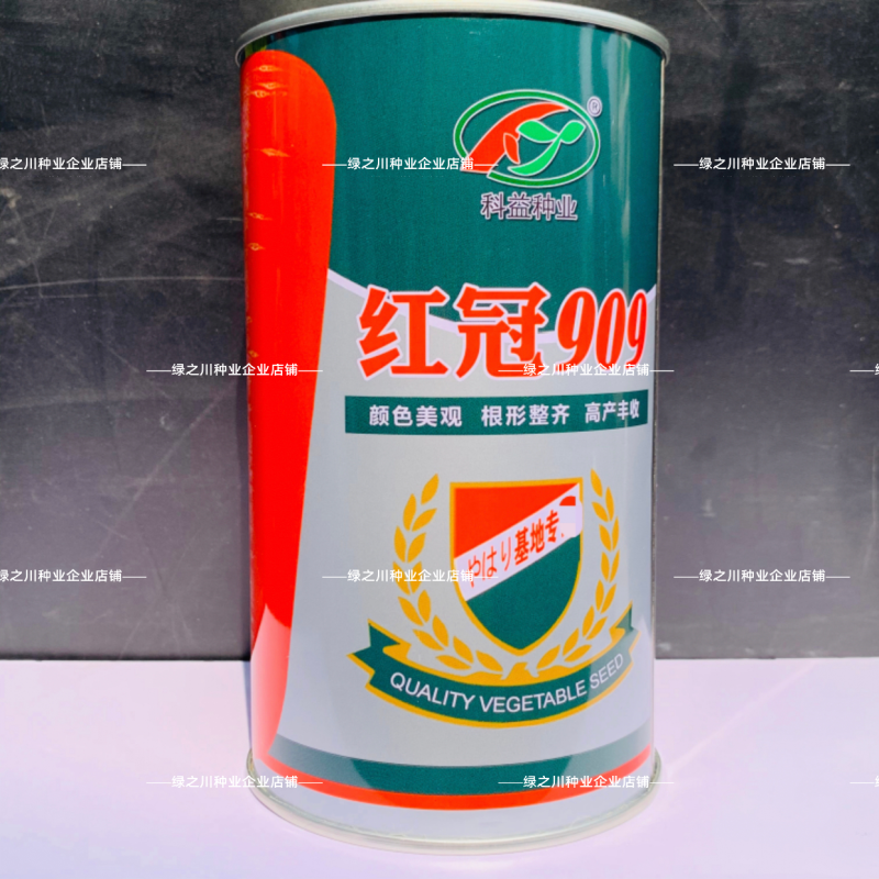红冠909三红胡萝卜种子中早熟长锥型基地推荐胡萝卜种籽