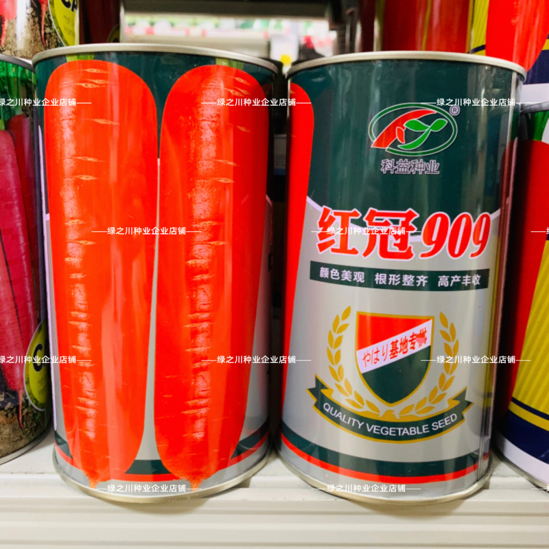 红冠909三红胡萝卜种子中早熟长锥型基地推荐胡萝卜种籽