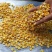 新疆黄玉米粒干玉米粒湿玉米粒量大从优欢迎大家联系